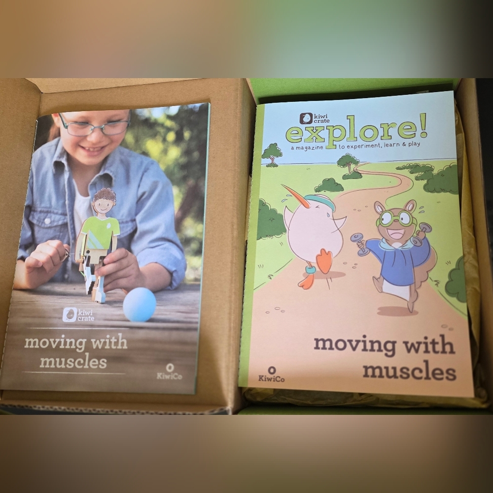 Kiwi Crate For Age 5+